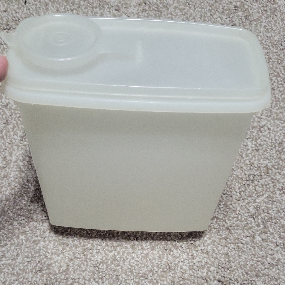 Translucent Kitchen Storage Container